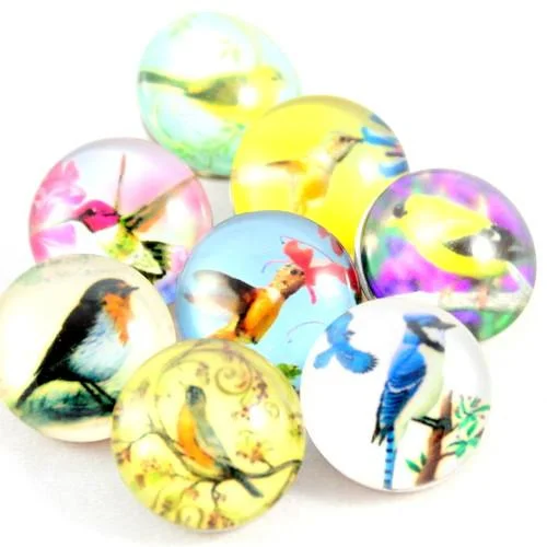 Popper Charm Bird Print - Various
