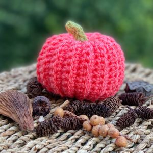Crochet A Pumpkin Workshop - Riverside Beads