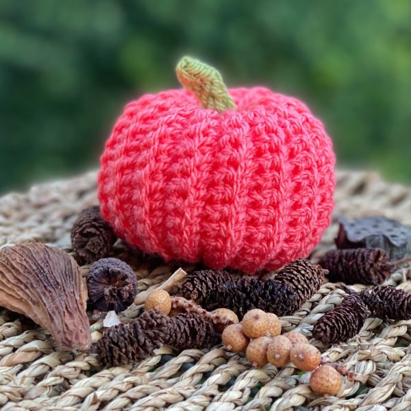 Crochet A Pumpkin Workshop - Riverside Beads