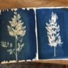 Cyanotype Printing Workshop - Riverside Beads