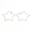 18k Gold Plated Star Ear Wire