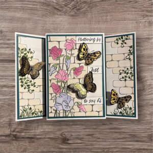 Shirley Card Making August 2025