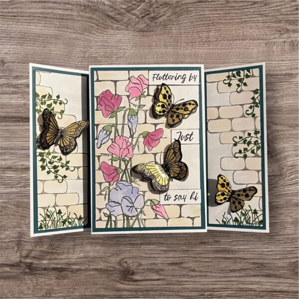 Shirley Card Making August 2025