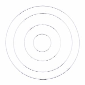 Metal Wire Circle Frame - Silver