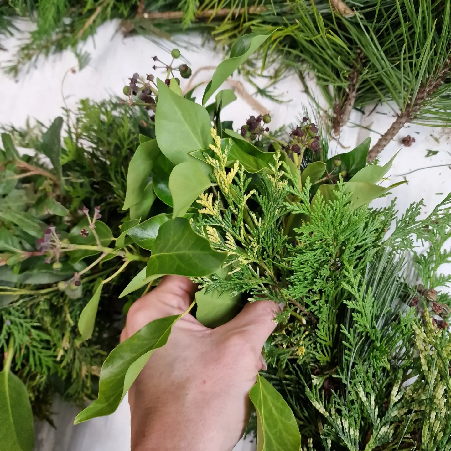 A Molecey Christmas - Forage, Create & Feast - Image 9