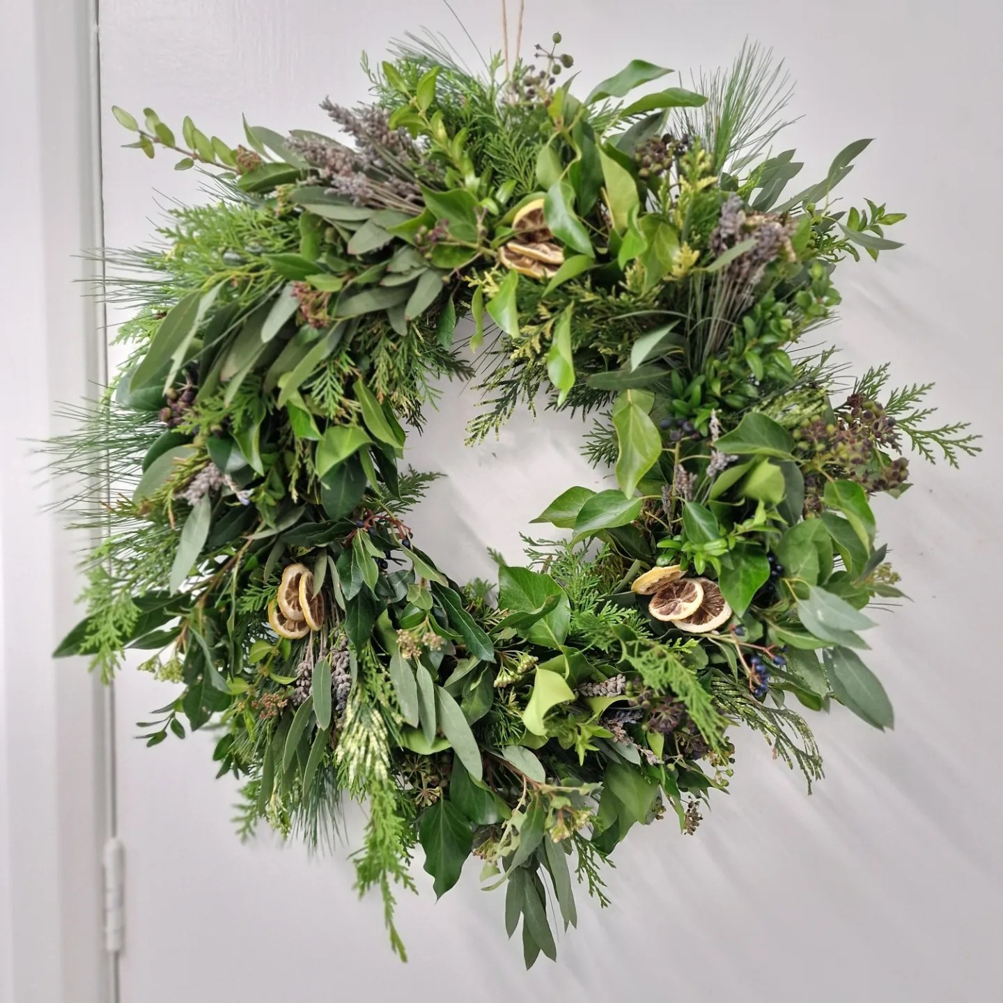 A Molecey Christmas - Forage, Create & Feast - Image 16