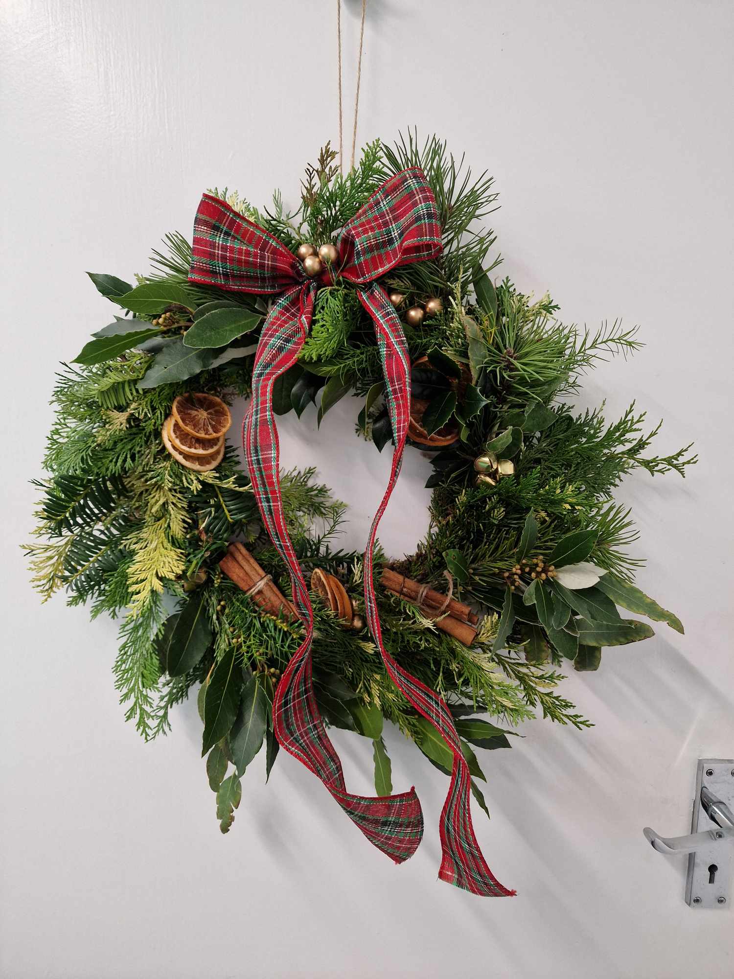 A Molecey Christmas - Forage, Create & Feast - Image 27