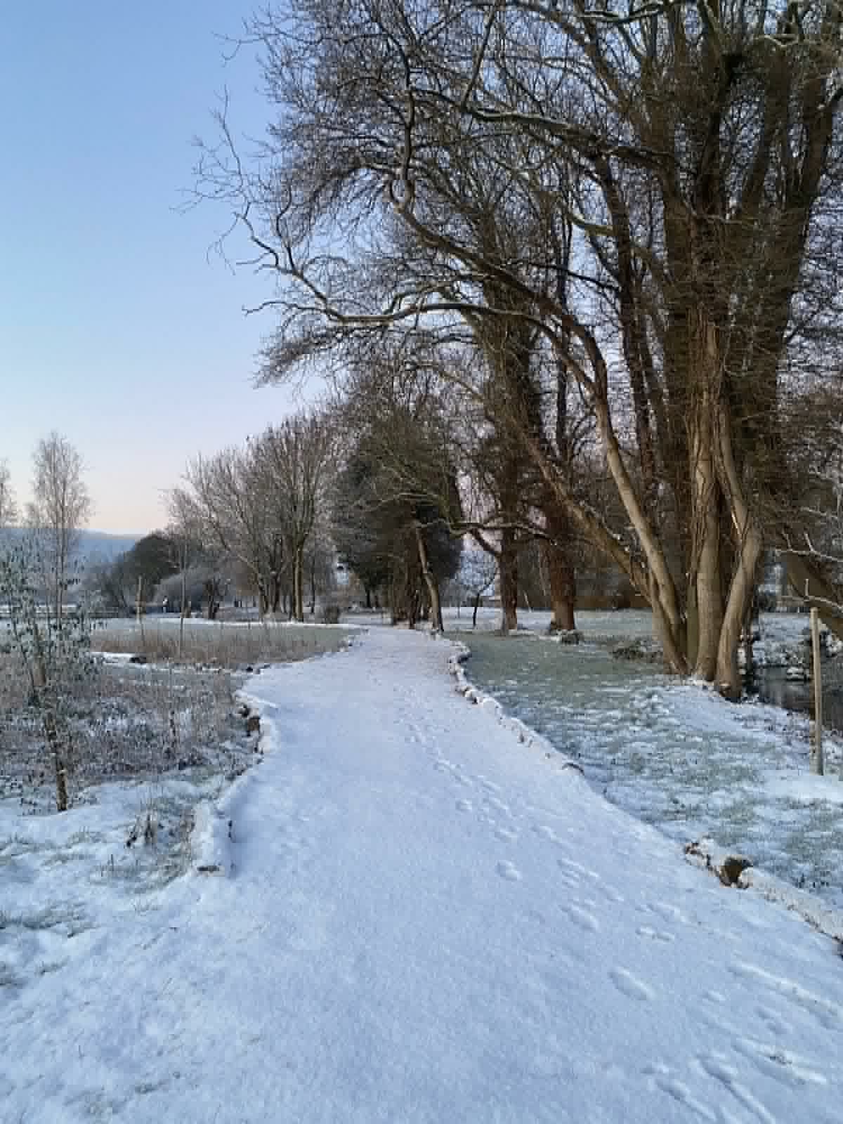 A Molecey Christmas - Forage, Create & Feast - Image 23