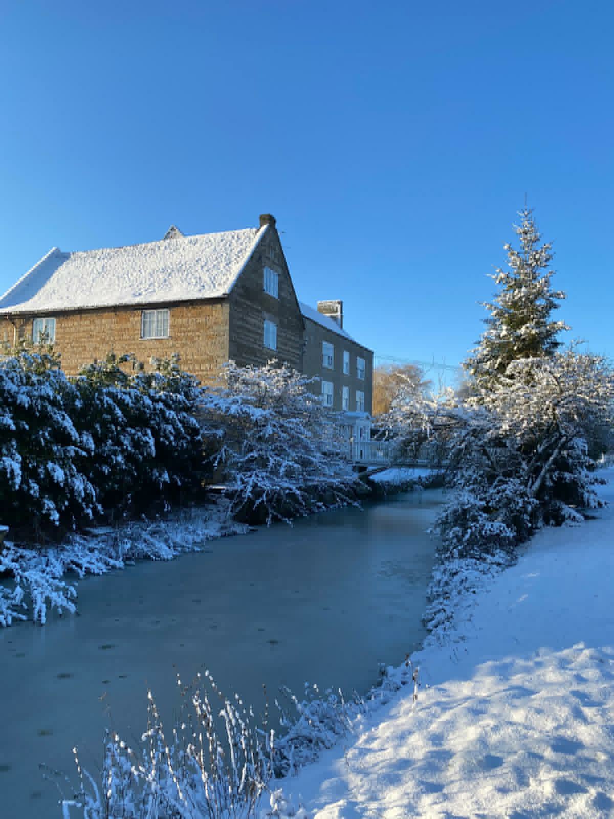 A Molecey Christmas - Forage, Create & Feast - Image 20