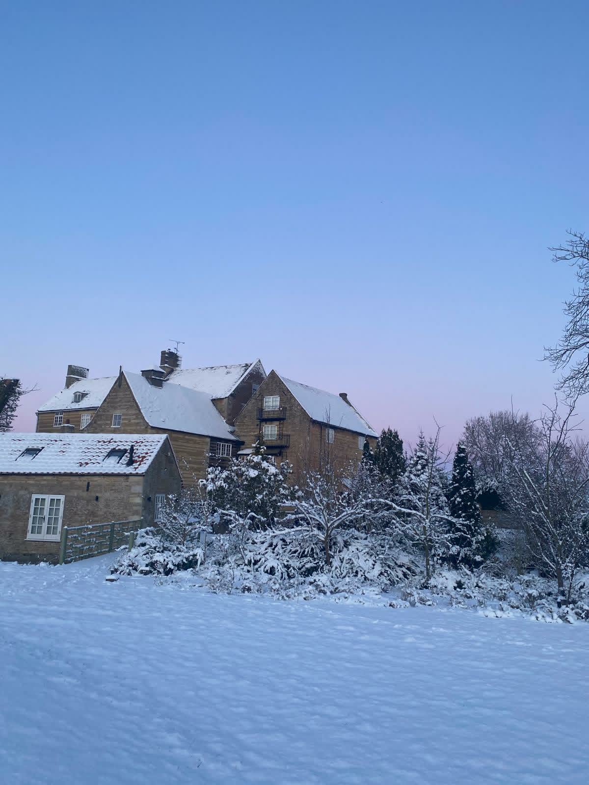 A Molecey Christmas - Forage, Create & Feast - Image 3