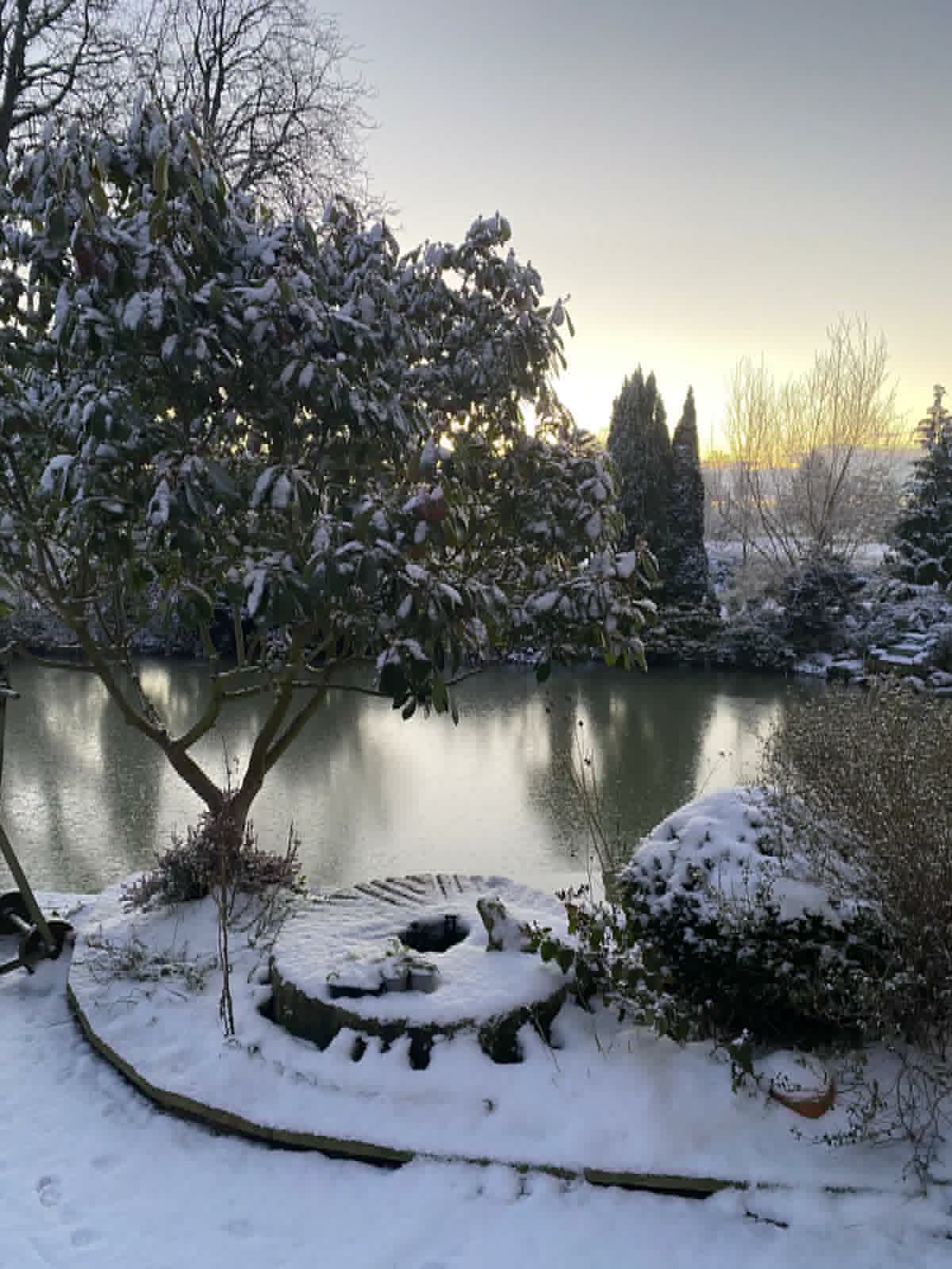 A Molecey Christmas - Forage, Create & Feast - Image 14