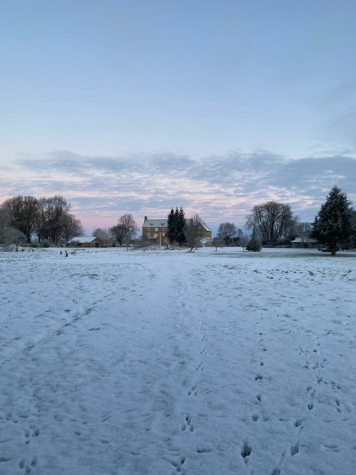 A Molecey Christmas - Forage, Create & Feast - Image 8