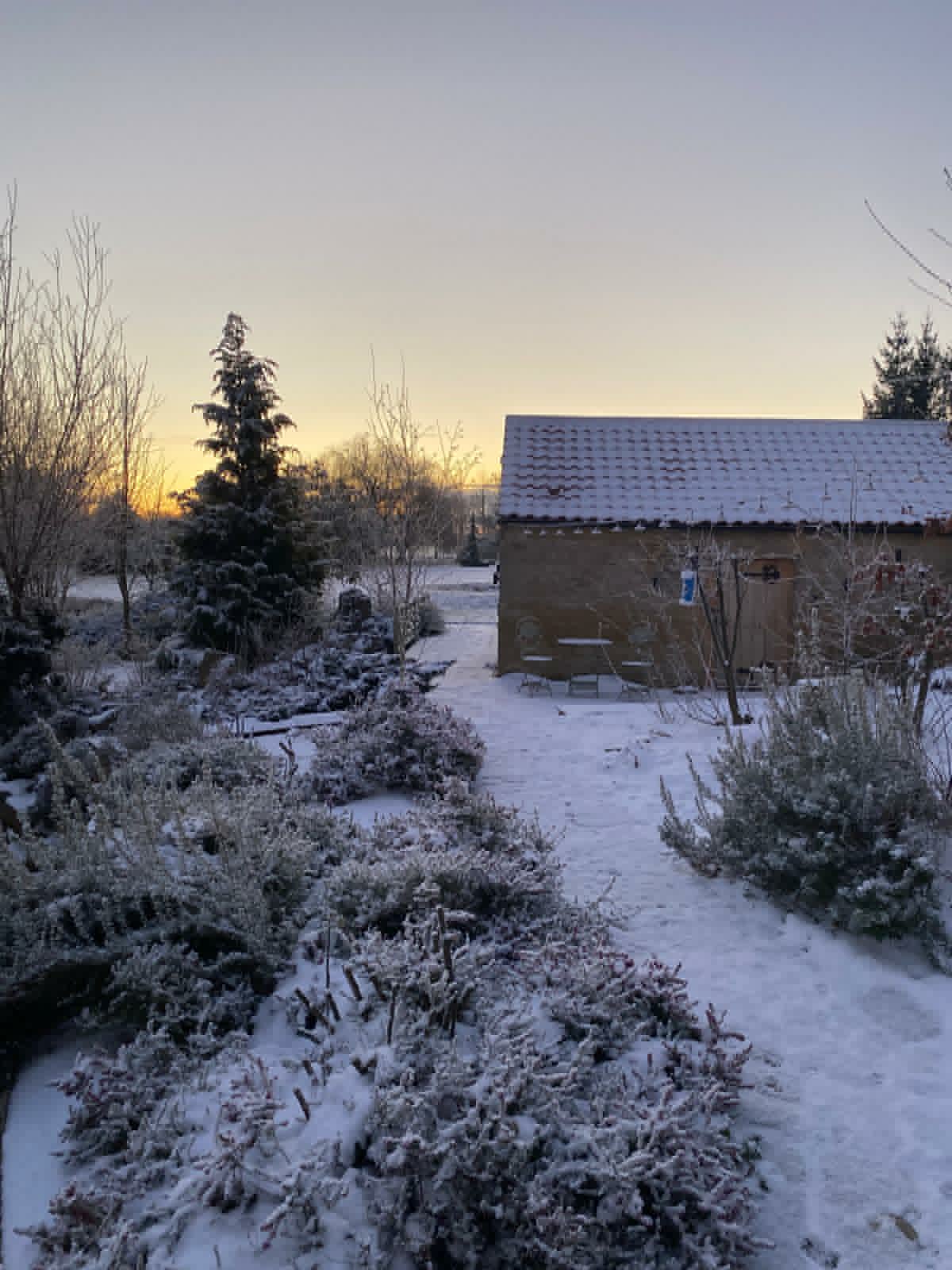 A Molecey Christmas - Forage, Create & Feast - Image 6